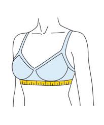 drawing of woman showing how to determine the bra band